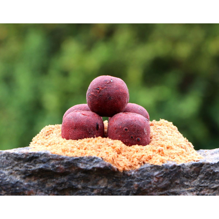Kulki proteinowe BH 20mm Arctic Krill - wiadro 3kg